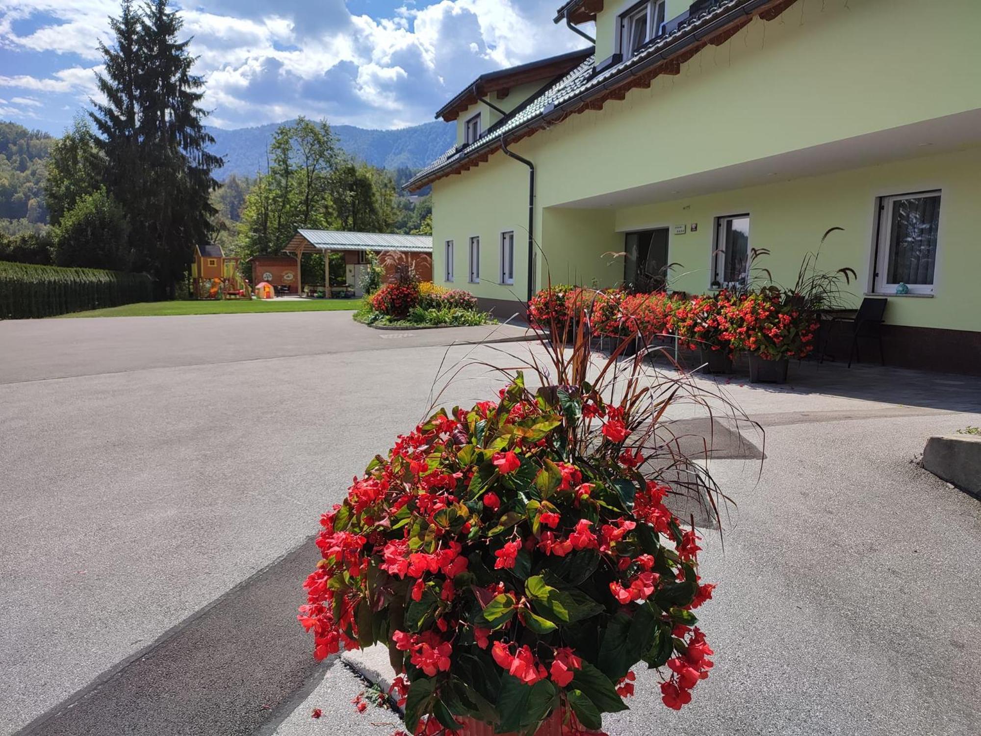 Apartments And Wellness Jelovca Radovljica Eksteriør bilde